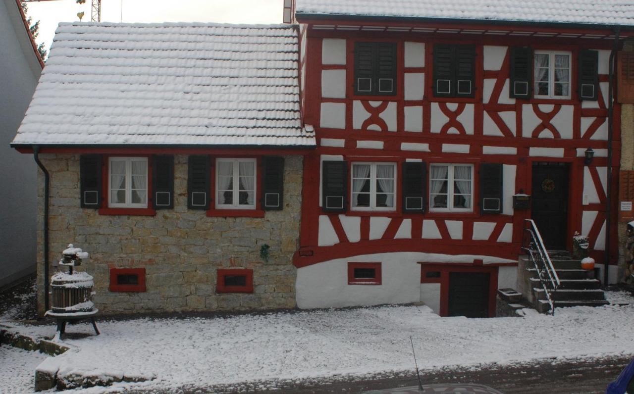 Ferienwohnung Traumschiff Erzingen Exterior photo